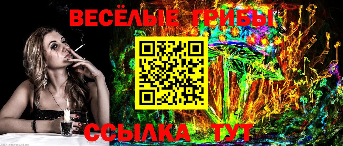 дарнет шоп  Псилоцибиновые грибы GOLDEN TEACHER  Вход с VPN  Северобайкальск 